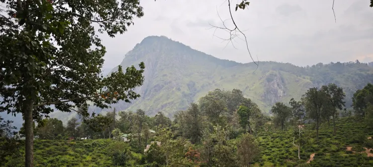 Day 10 — Madiha to Sinharaja: Into the Jungle Proper