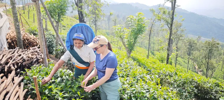 Day 5 — Nuwara Eliya to Ella: The Town That Gets Into You