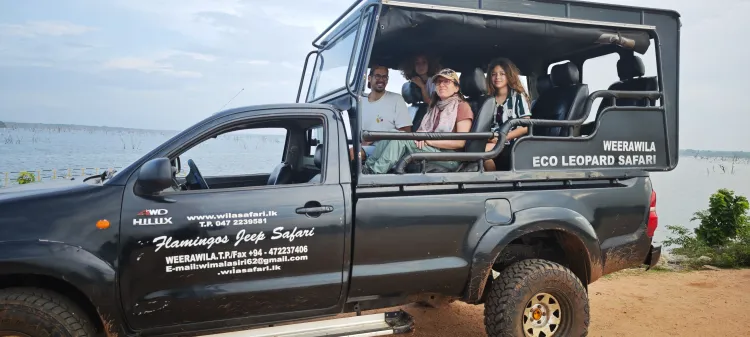 Getting Around Sri Lanka: Private Driver vs. Public Transport