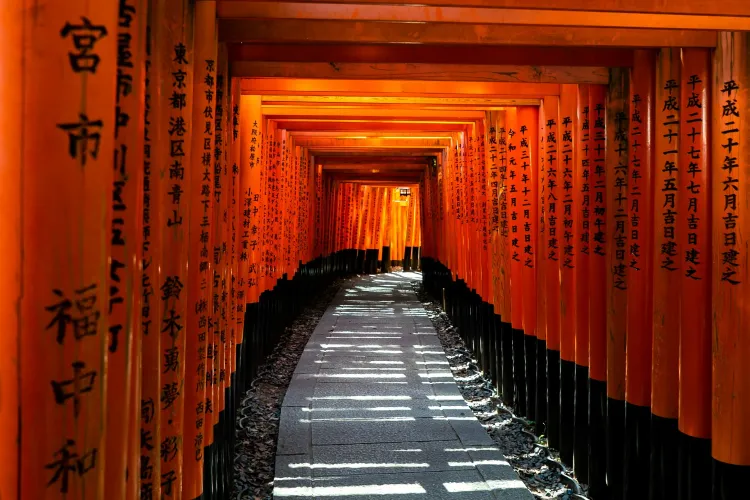 Unique Things to Do in Kyoto