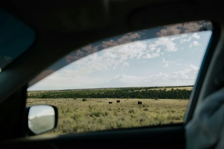 Chauffeur Hire Service