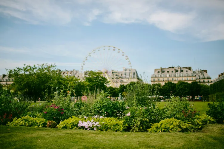 10. The Tuileries Garden (Outside)