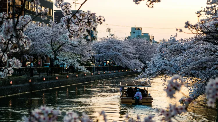 14-Day Japan Itinerary: The Complete Experience
