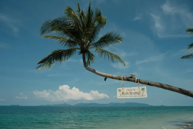 Koh Samui:  A Slice of Paradise