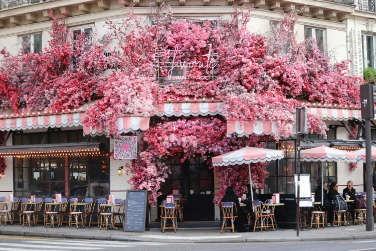 Safest and Most Charming Areas to Stay