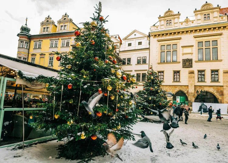 Pedestrian Zone Anděl Smíchov Christmas Market