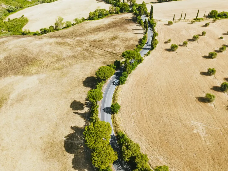 Franciacorta Wine Tours: Italy's Champagne Country