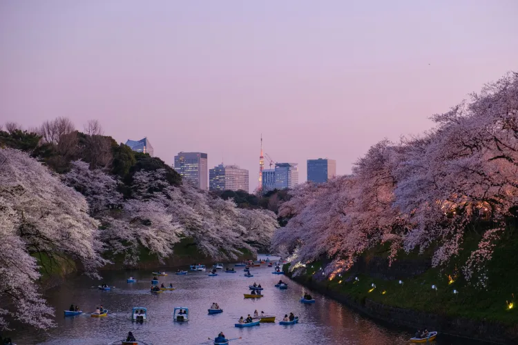 Tokyo Travel Guide: Dive into the Electric Heart of Japan