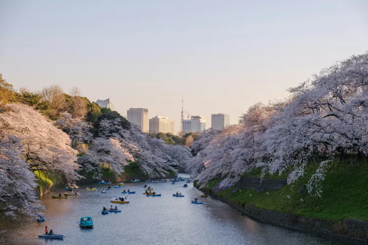 When to Visit Tokyo